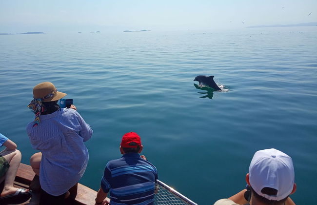 Paseo en barco por el golfo de Arta - Foto 6