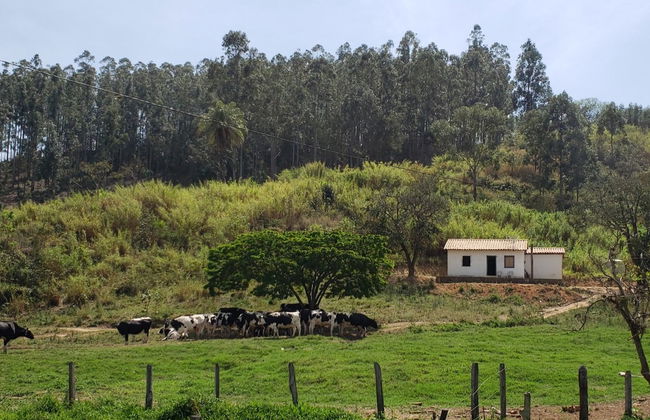 Excursão a Monte Sião, Serra Negra, Amparo e Pedreira - Foto 1