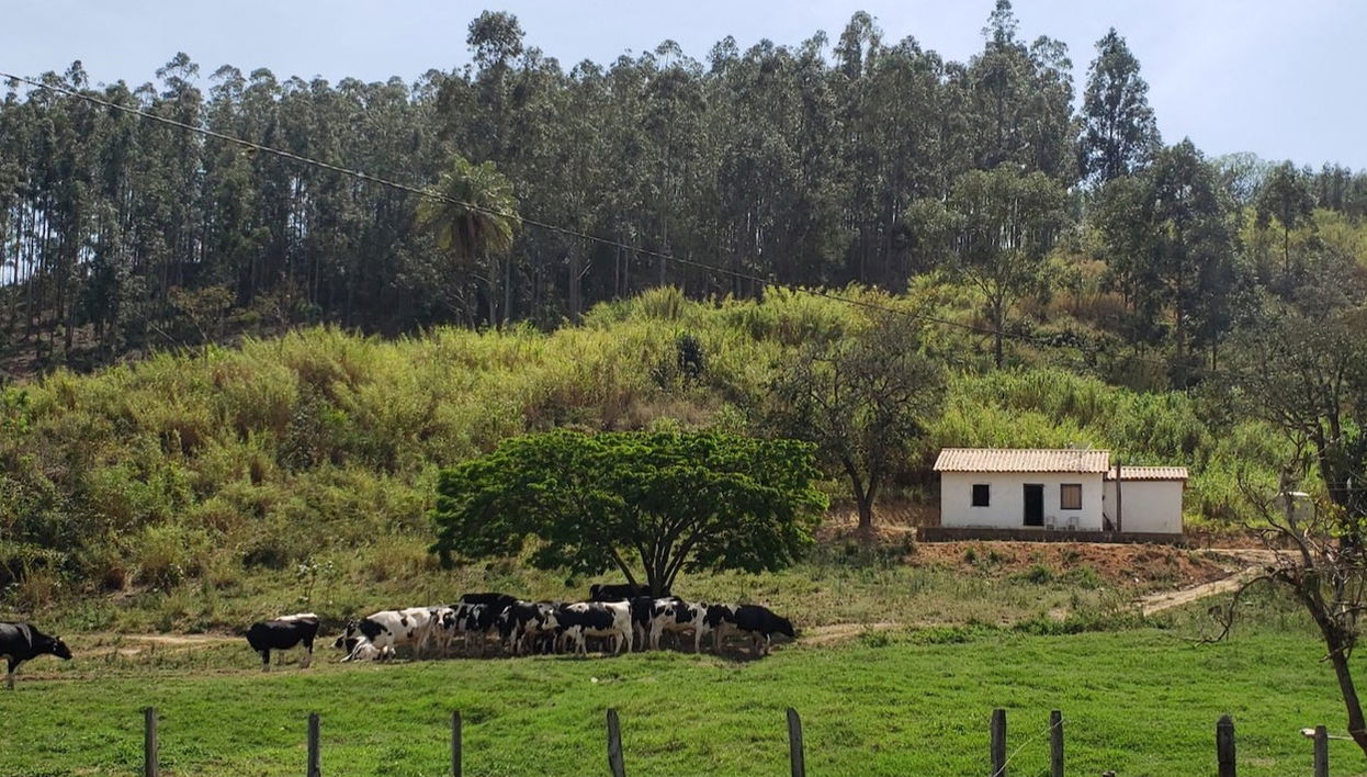 Excursão a Monte Sião, Serra Negra, Amparo e Pedreira - Foto 1