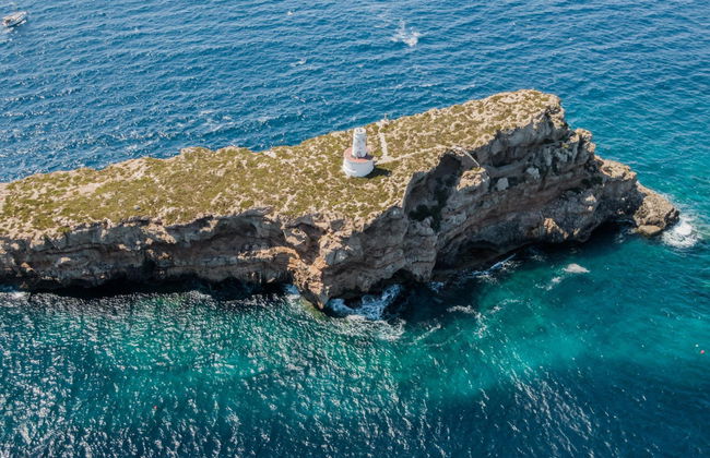 Paseo en barco con fondo de cristal por las islas Malgrats y Toro - Foto 4