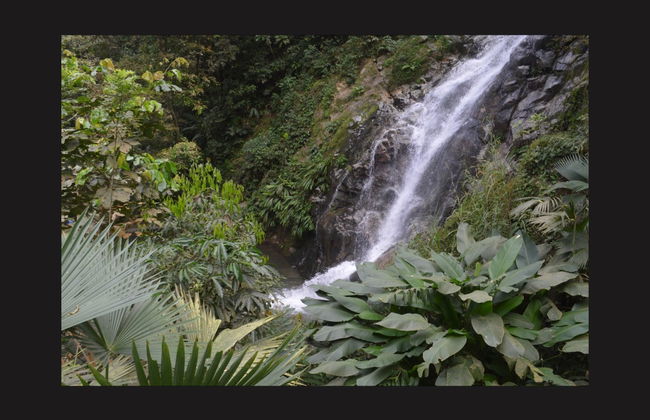 Excursión a las cascadas de Marinka + Sierra Minca - Foto 2