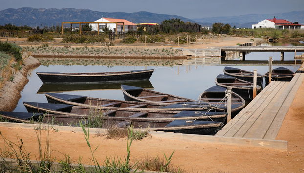 Visita guiada pelo MónNatura Delta de l'Ebre - Foto 2