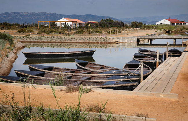 Visita guiada por MónNatura Delta del Ebro - Foto 2
