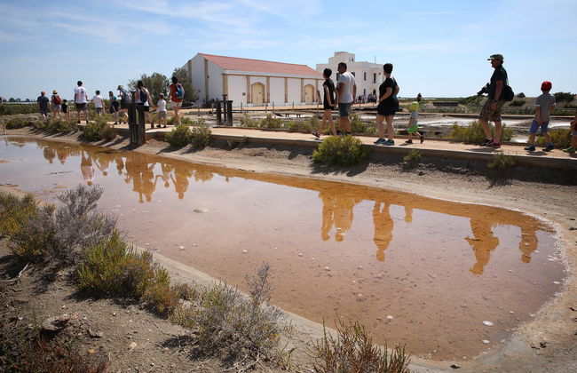 Visita guiada por MónNatura Delta del Ebro - Foto 6