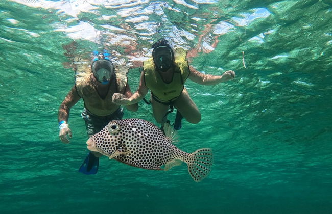 Tour en Mustang por Cozumel - Foto 5