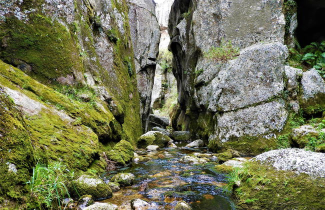 Valle de los Lisos Hiking and Canyoning - Photo 7