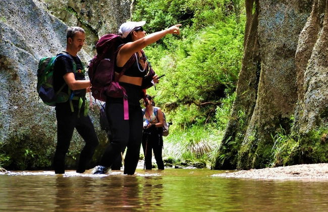 Los Gigantes Private Hiking Tours - Photo 4