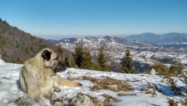 Hiking in Ciocanu - Foto 5