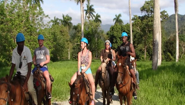 Passeio a Cavalo no Campo - Tour de Meio Dia - Foto 5