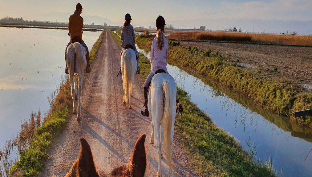 Paseo a caballo por el Parque Natural del delta del Ebro - Desde Deltebre - Foto 1
