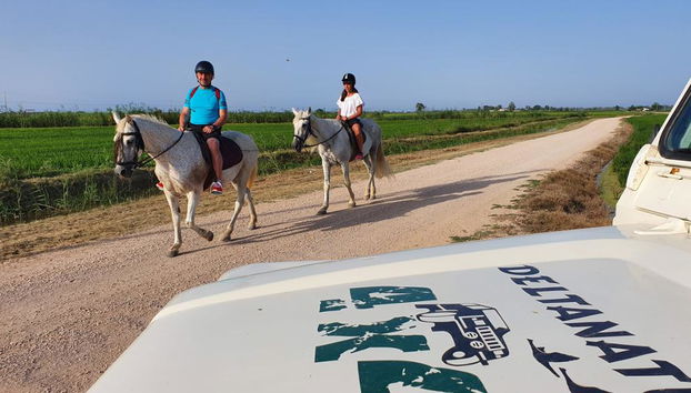 Paseo a caballo por el Parque Natural del delta del Ebro - Desde Deltebre - Foto 4