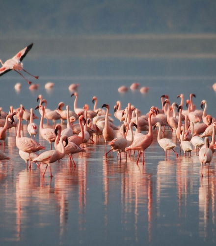 Foto de Excursión a la laguna de los Pozuelos