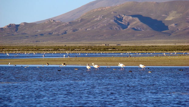 Day Trip to the Pozuelos Lagoon - Photo 3