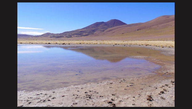 Day Trip to the Pozuelos Lagoon - Photo 4