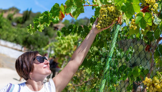 Tour of Algarve Wineries - Foto 4