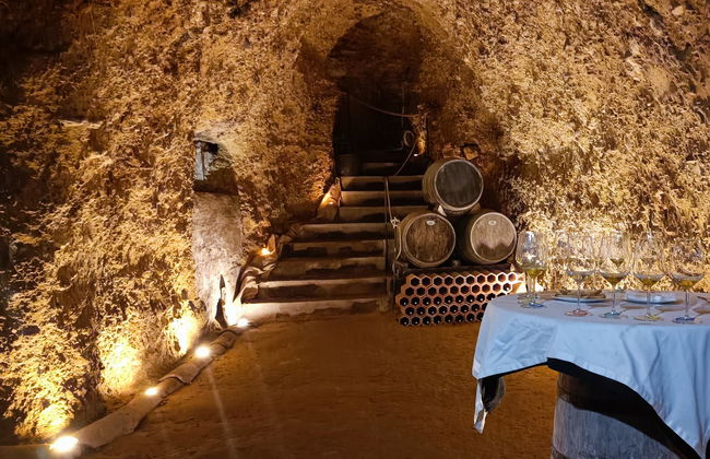 Visita a la cueva-bodega Dorretxe + Cata de aceite - Foto 4