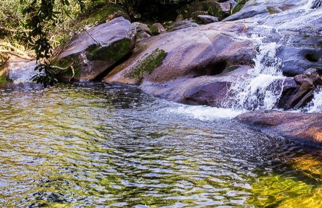 Senderismo hasta la cascada de Guaratuba - Foto 7