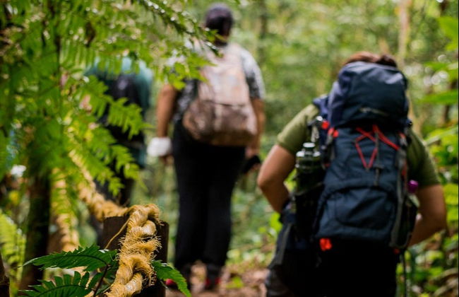 Senderismo hasta la cascada de Guaratuba - Foto 1