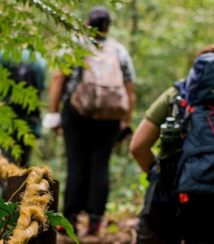 Foto de Senderismo hasta la cascada de Guaratuba