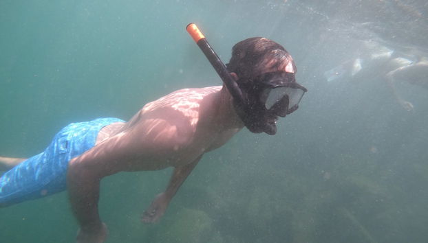 Snorkeling in Hikkaduwa - Photo 3