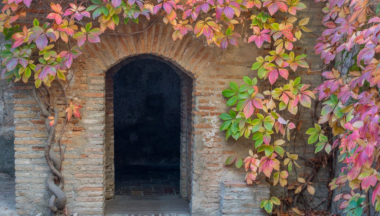 Free tour pela Granada do Al Ándalus - Foto 1