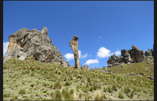 Excursión al Santuario Nacional de Huayllay - Foto 3
