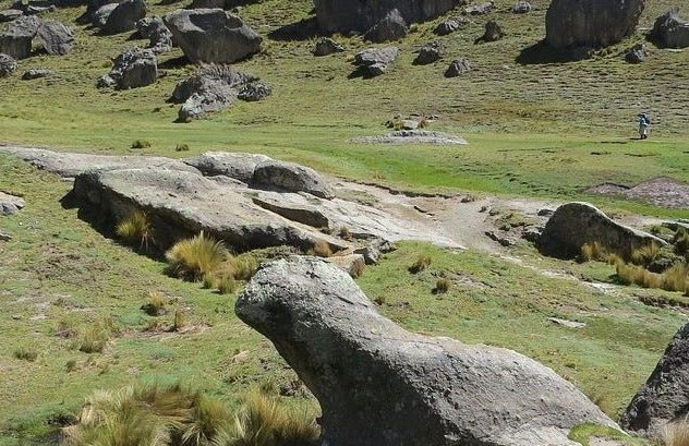 Excursión al Santuario Nacional de Huayllay - Foto 9