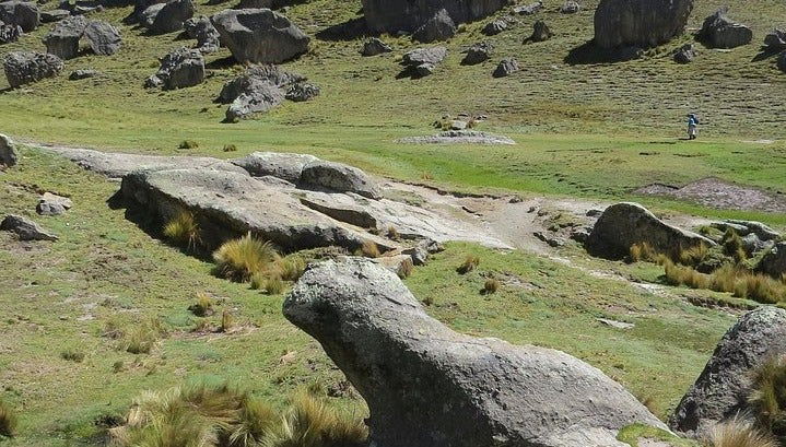 Huayllay National Sanctuary Day Trip