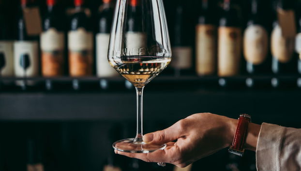 Degustazione di olio biologico - Photo 4