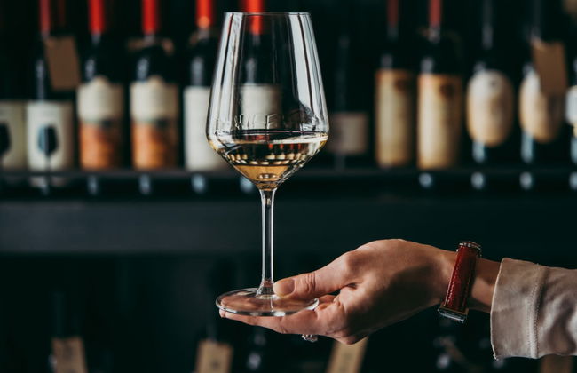 Degustazione di olio biologico - Photo 4