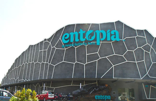 Half Day Botanical Garden And Butterfly Farm - Foto 2