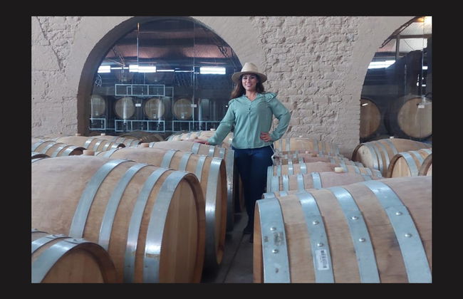 Tour privado de bodegas por Aguascalientes - Foto 6