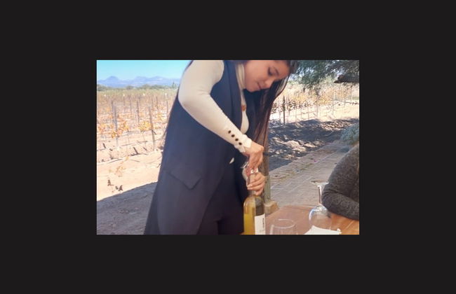 Tour privado de bodegas por Aguascalientes - Foto 5