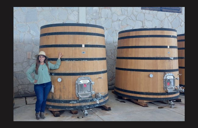 Tour privado de bodegas por Aguascalientes - Foto 1
