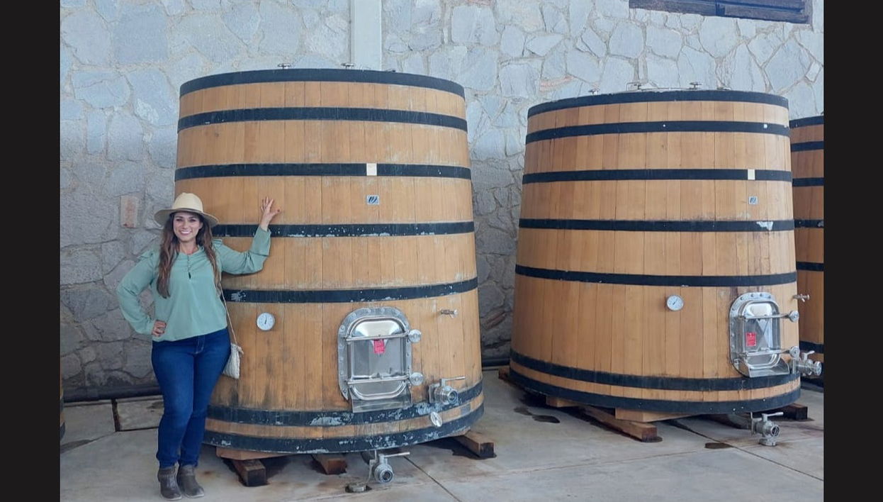 Tour privato delle cantine di Aguascalientes - Foto 1