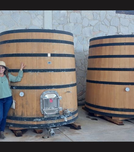 Foto de Tour privado de bodegas por Aguascalientes