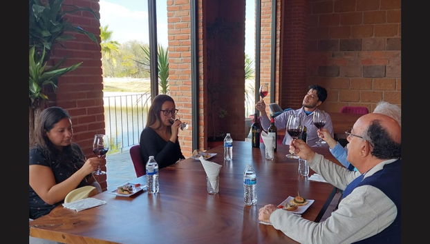 Tour privato delle cantine di Aguascalientes - Foto 2