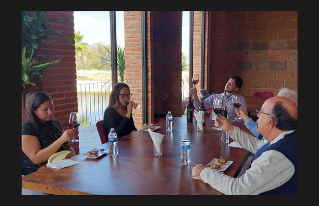 Tour privado de bodegas por Aguascalientes - Foto 2