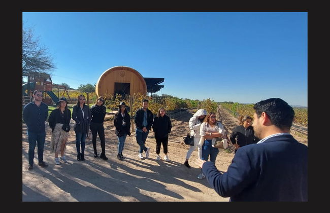 Tour privado de bodegas por Aguascalientes - Foto 7