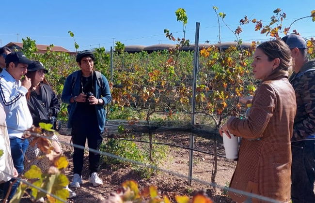 Tour privado de bodegas por Aguascalientes - Foto 8