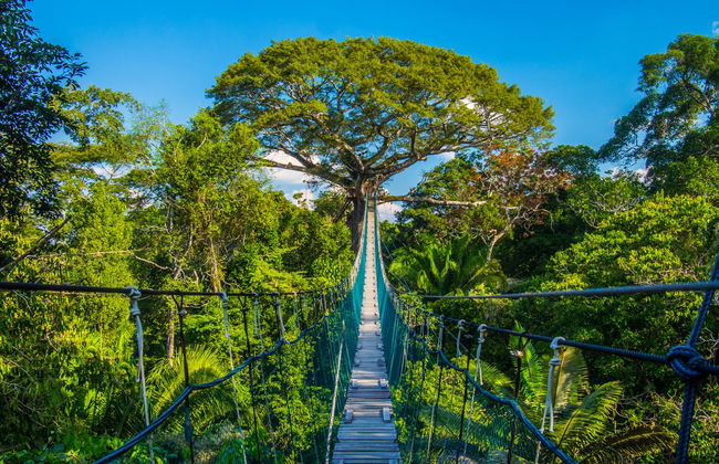 Tambopata National Reserve 5 Day Tour - Foto 1