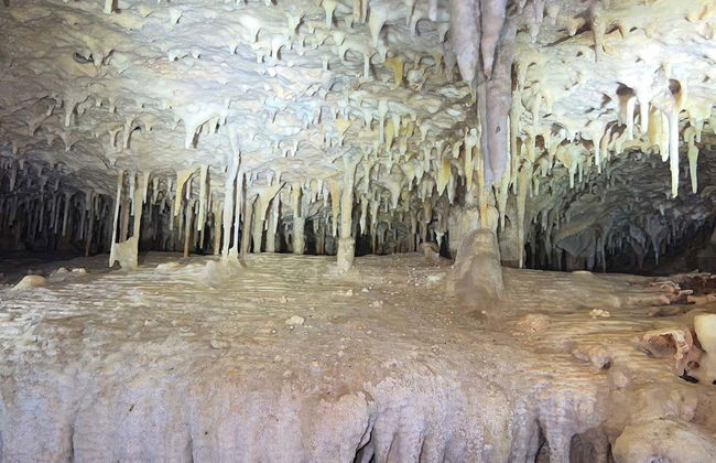 Bonaire Caves Tour + Snorkeling - Photo 4