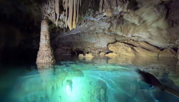 Bonaire Caves Tour + Snorkeling - Photo 2