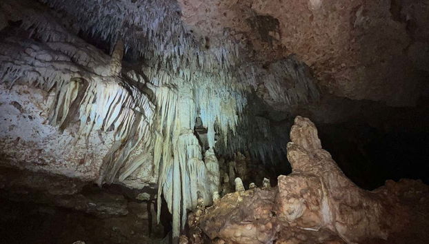 Bonaire Caves Tour + Snorkeling - Photo 3