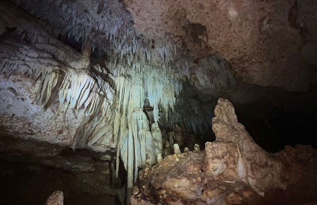 Bonaire Caves Tour + Snorkeling - Photo 3