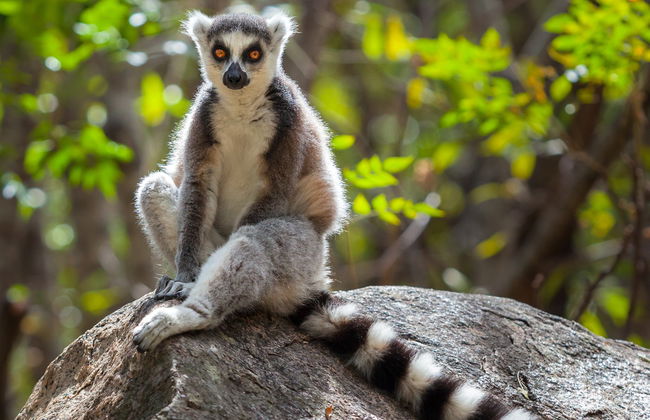 Tour di 9 giorni in Madagascar - Foto 8