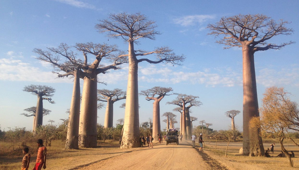 9 Day Tour of Madagascar - Photo 1
