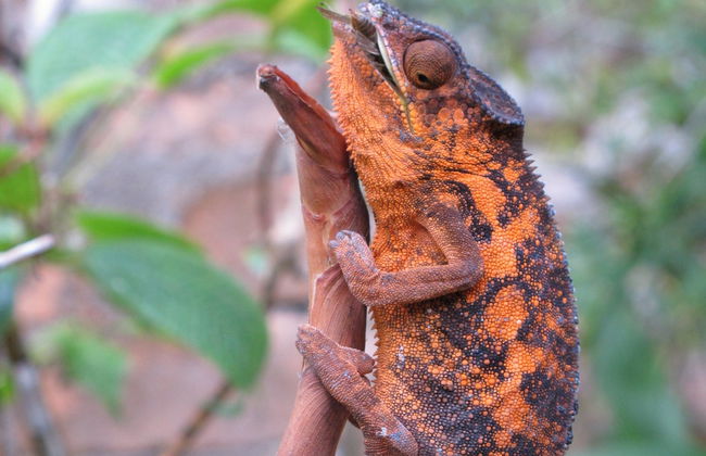 Tour di 9 giorni in Madagascar - Foto 5