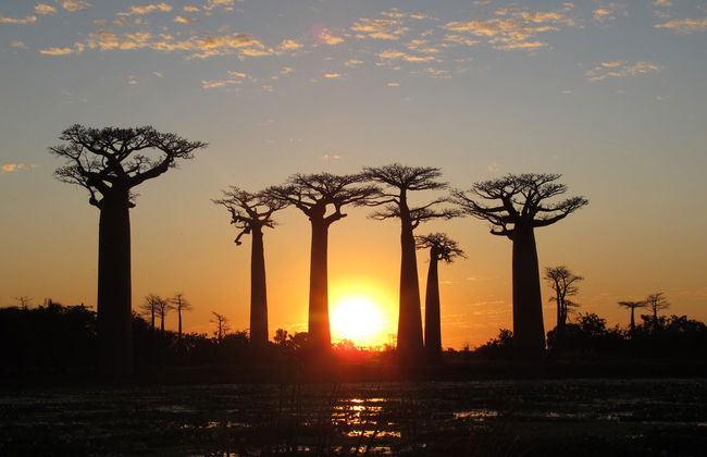 Tour di 9 giorni in Madagascar - Foto 7