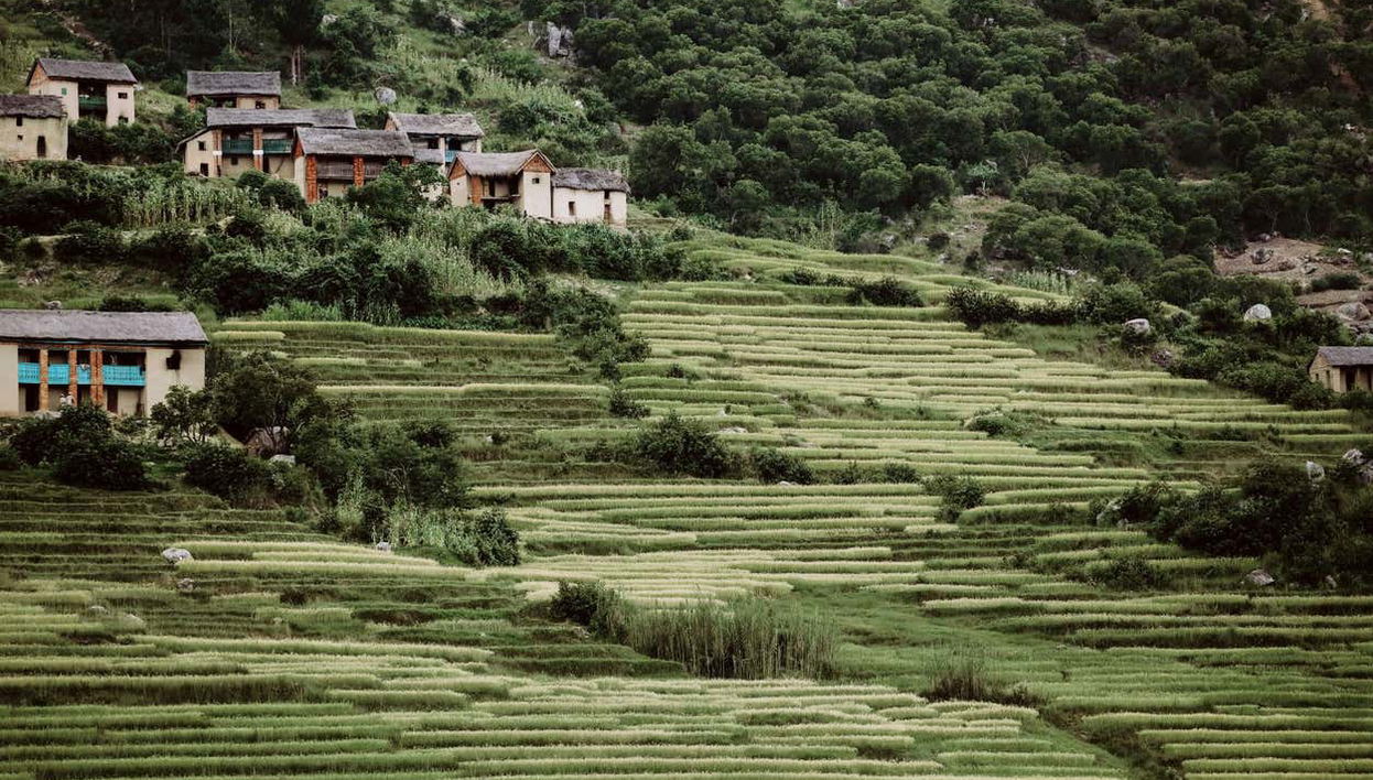 Tour de 9 dias por Madagascar - Foto 1